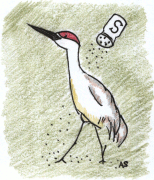 Saltycrane logo